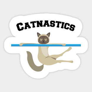 Catnastics blue bar Sticker